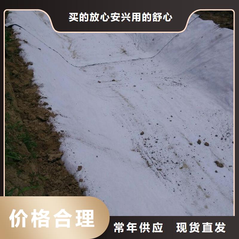 防水毯土工膜技术先进本地生产商