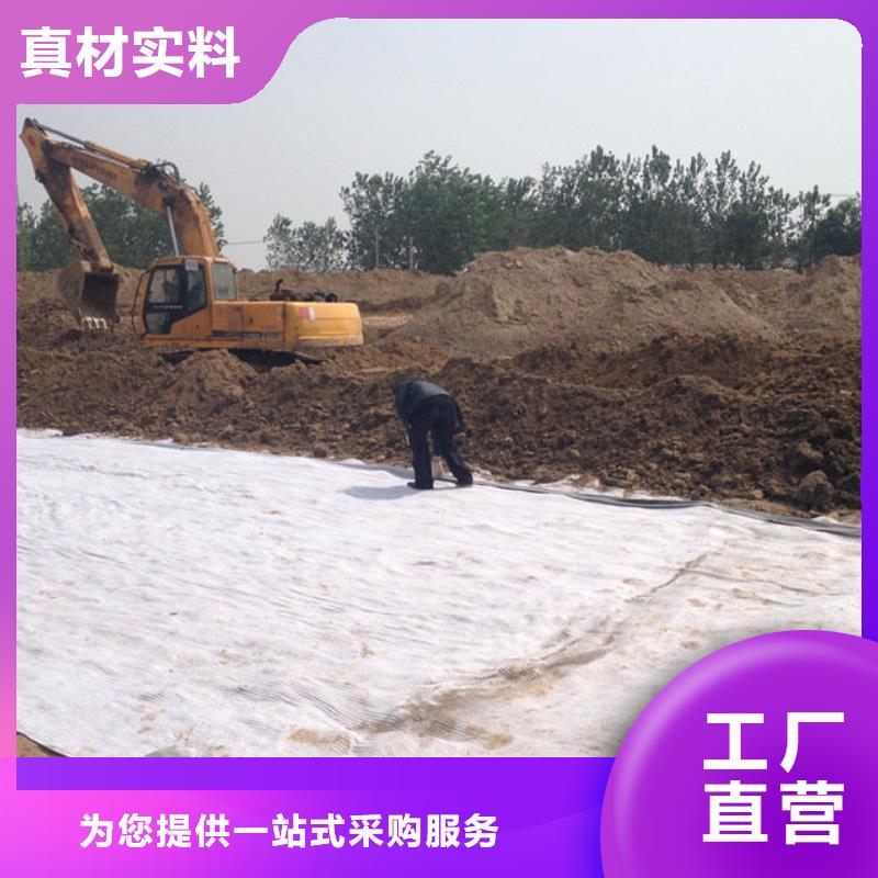 防水毯,涤纶土工格栅快速生产实力商家