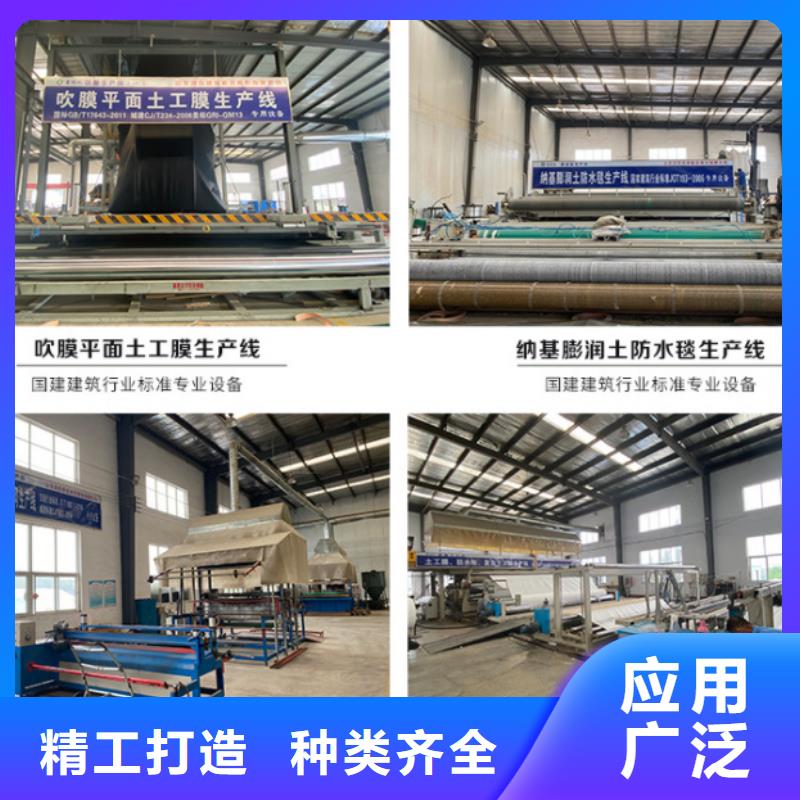 防水毯钢塑土工格栅厂家专注品质现货快速采购