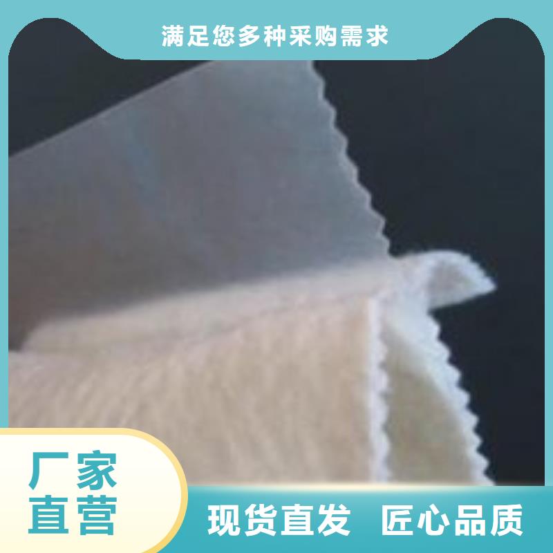土工膜三维植被网厂家实力公司一站式厂家