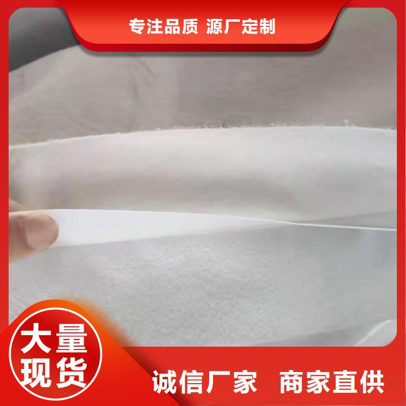 土工膜_钢塑土工格栅厂家品质商家N年专注