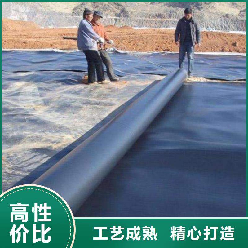 土工膜土工席垫规格型号全极速发货