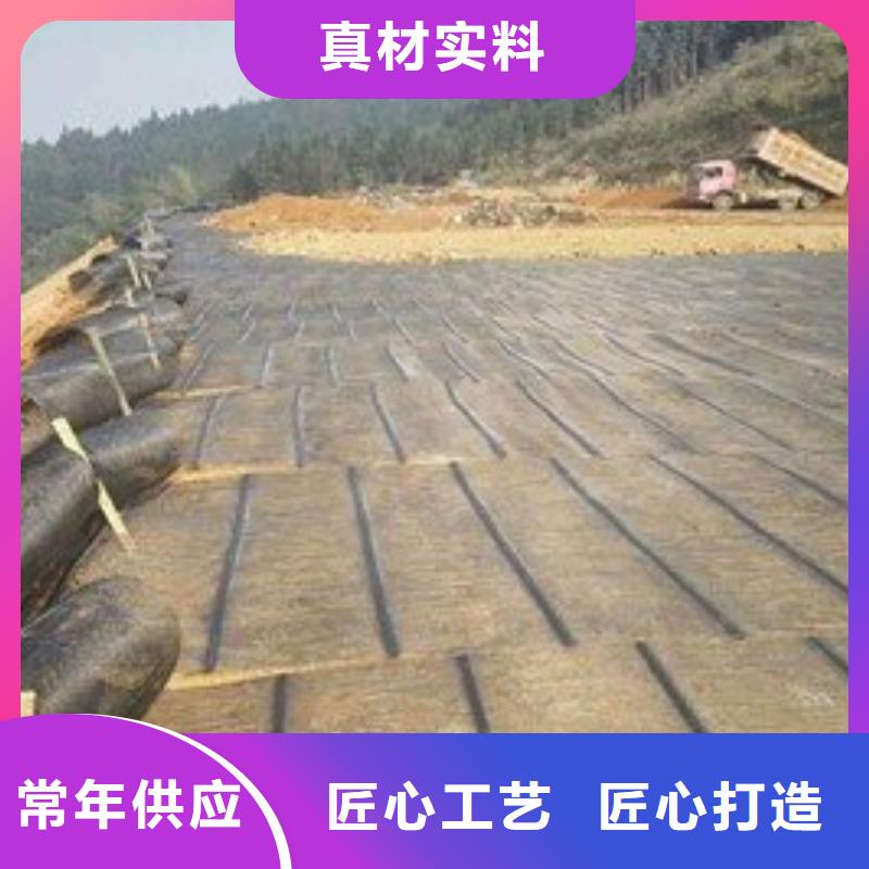土工格栅凸结点钢塑土工格栅种类多质量好当地厂家