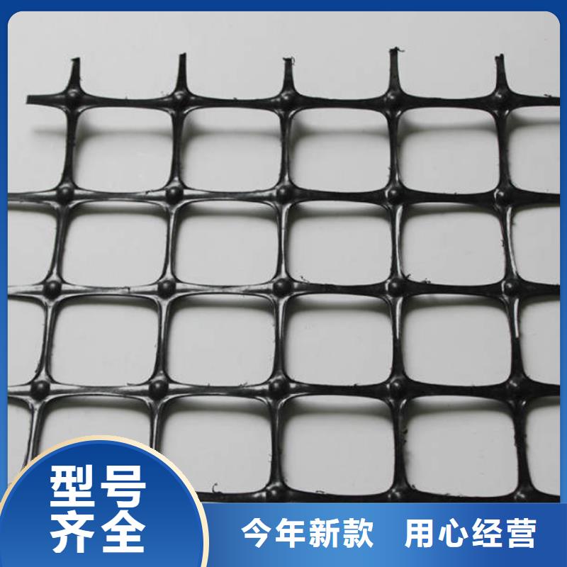 土工格栅三维土工网垫实拍品质保障同城经销商