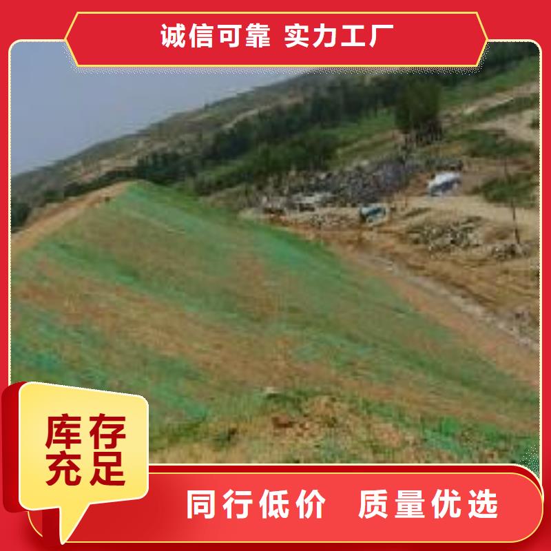 三维植被网土工席垫源厂供货一站式供应厂家