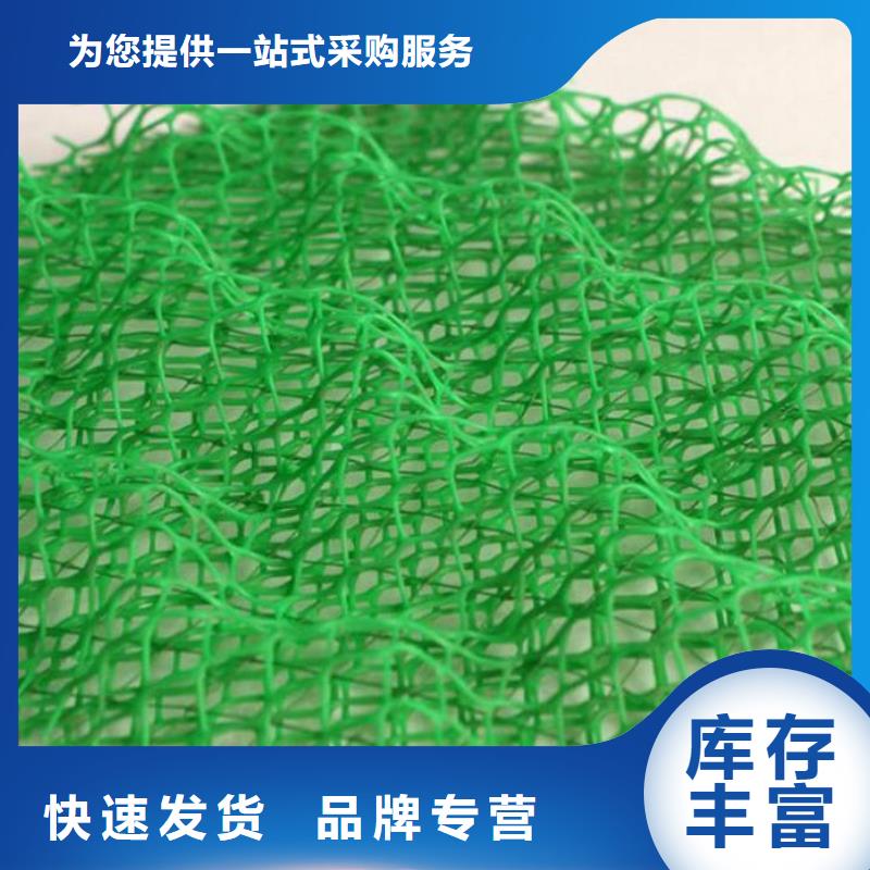 三维植被网,护坡土工网精心选材可零售可批发