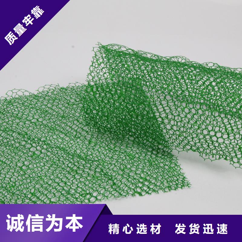 三维植被网,塑料排水板多种工艺大厂家实力看得见