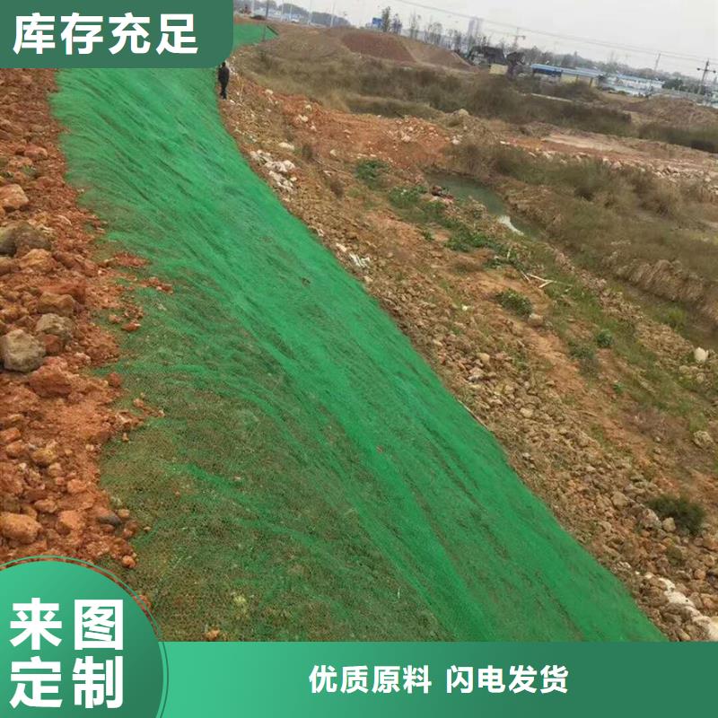 三维植被网土工格室厂家批发价按需定做