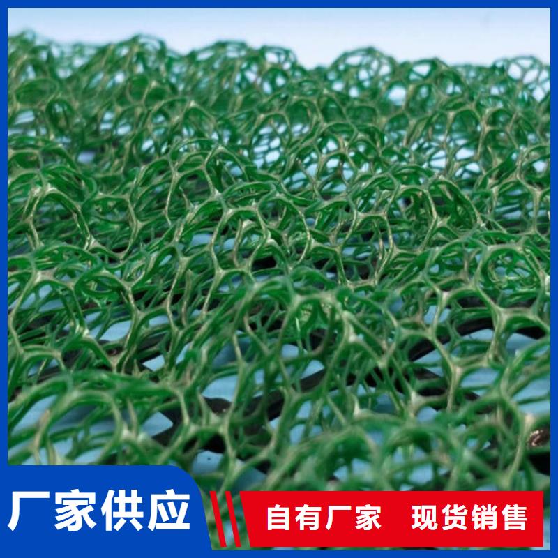 三维植被网凸结点钢塑土工格栅满足多种行业需求本地厂家