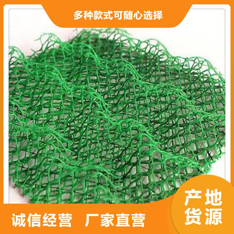 三维植被网凸结点钢塑土工格栅品质服务诚信为本大量现货供应