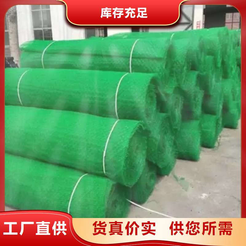三维植被网【三维水土保护毯】源头直供[本地]供应商