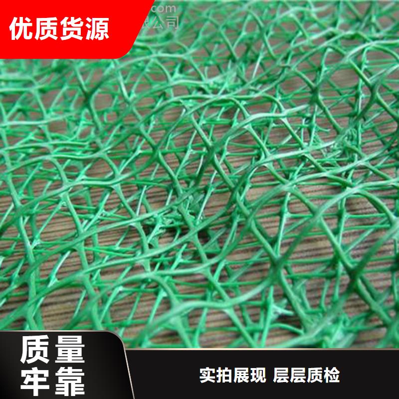 ​三维植被网三维土工网垫价格透明专注细节更放心