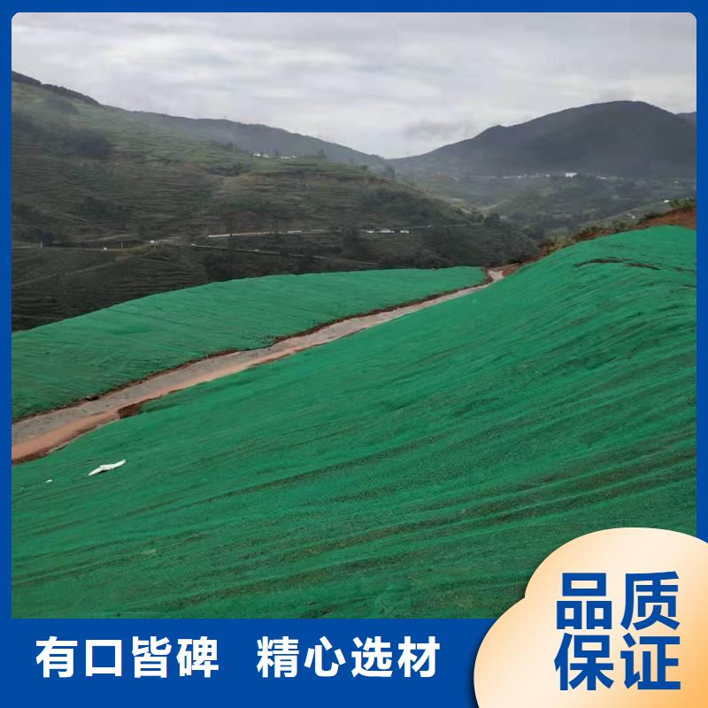 三维植被网土工膜精品选购本地经销商