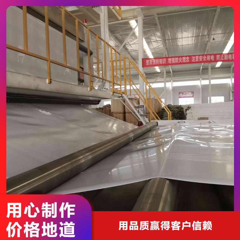 EVA防水板,塑料盲沟保障产品质量当地公司