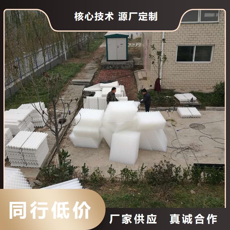 斜管填料-沉淀剂厂家案例本地货源