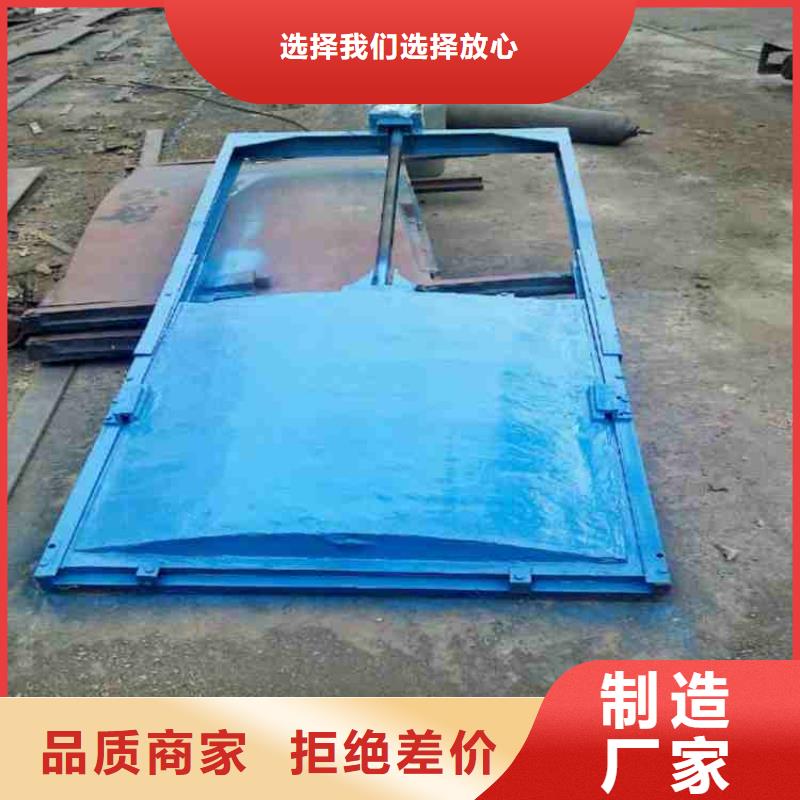 双向止水闸门源头生产厂家实力公司