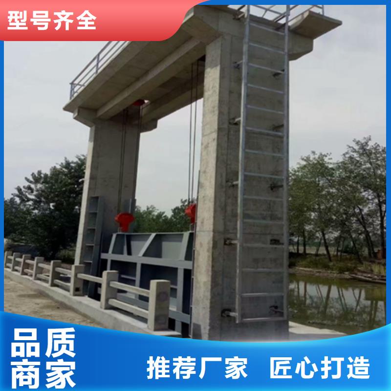 钢闸门-平推启闭机多种工艺实体厂家支持定制