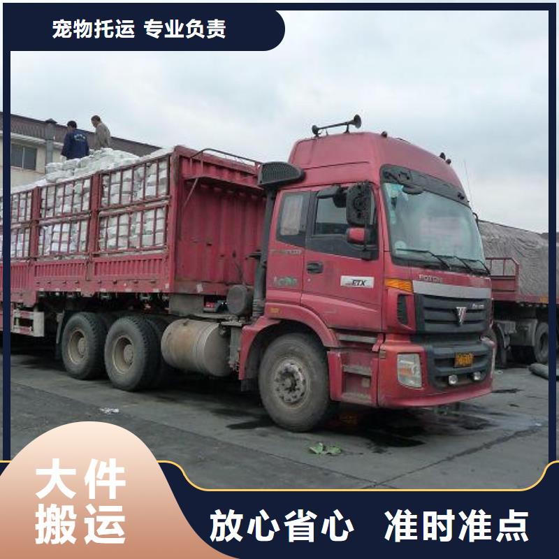 丽水物流-【乐从到丽水专线公司货运物流直达仓储返空车整车】返程车物流