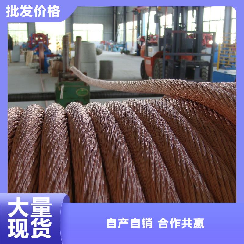 铜绞线图片常用指南有现货好品质售后无忧