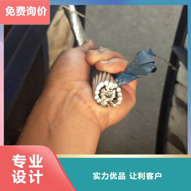 【铜绞线】紫铜带严选材质当地服务商