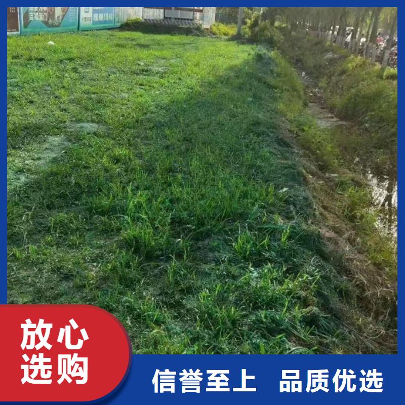 道路保湿抑尘剂同行低价常年供应