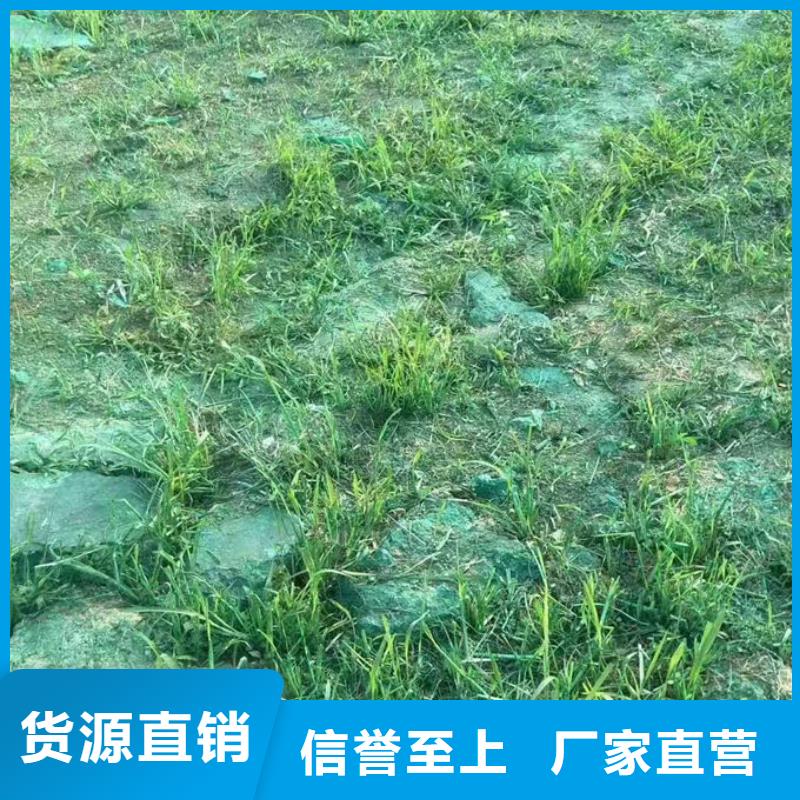 绿色结壳抑尘剂值得信赖工期短发货快