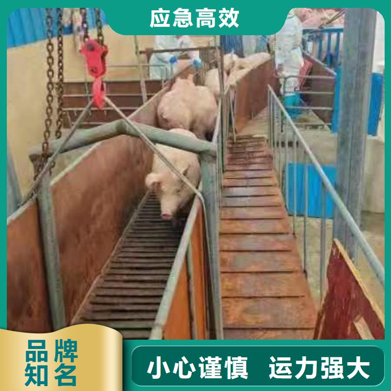 宿迁到浙江猪笼车运输支持到付