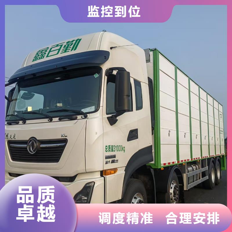 常州到长治种猪运输合作广泛