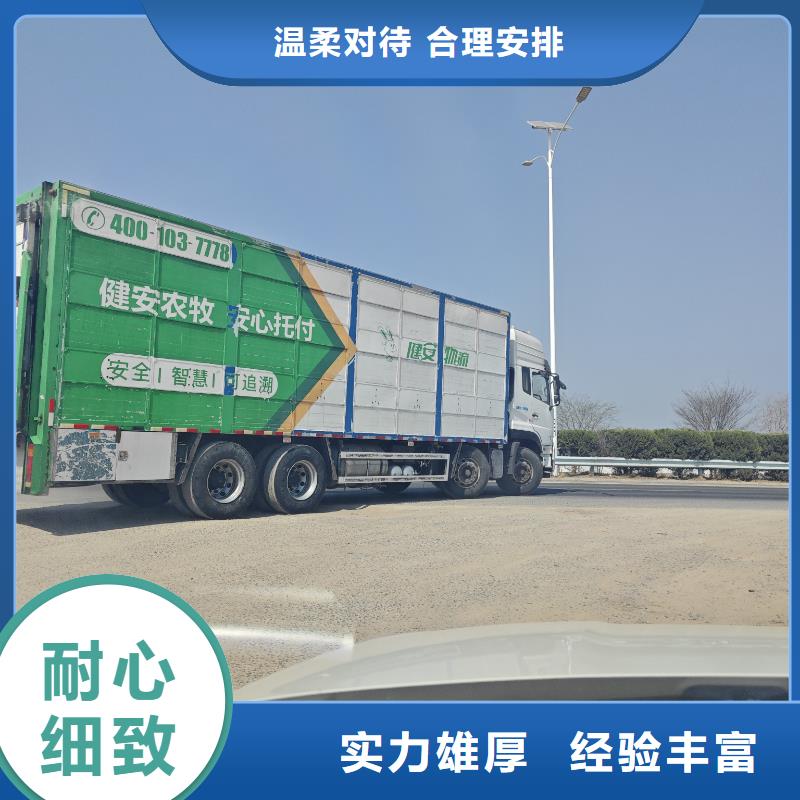 宿迁市泗洪到阜阳羊运输专用车小心谨慎