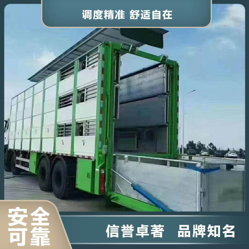 宿迁市沭阳到焦作高栏车肥猪运输小心谨慎