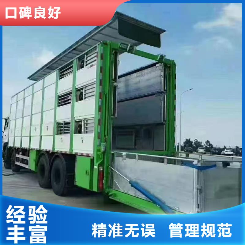 宿迁到谯城猪笼车运输覆盖全市