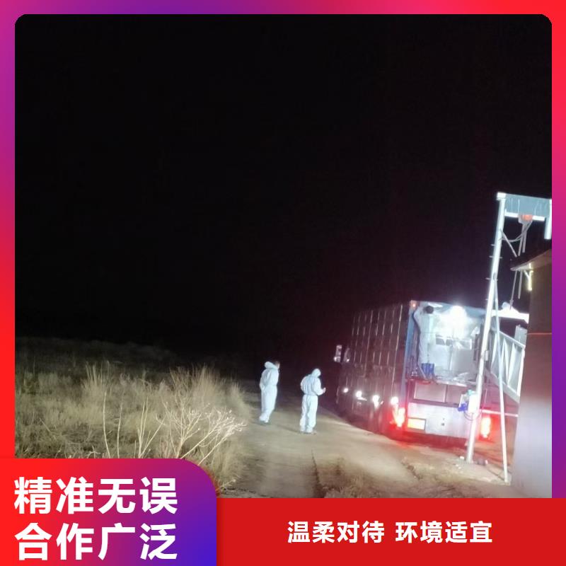 平顶山到白银仔猪空调车运输稳妥可靠