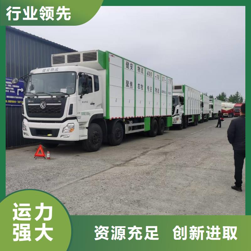 巢湖到蚌埠活禽物流资源充足