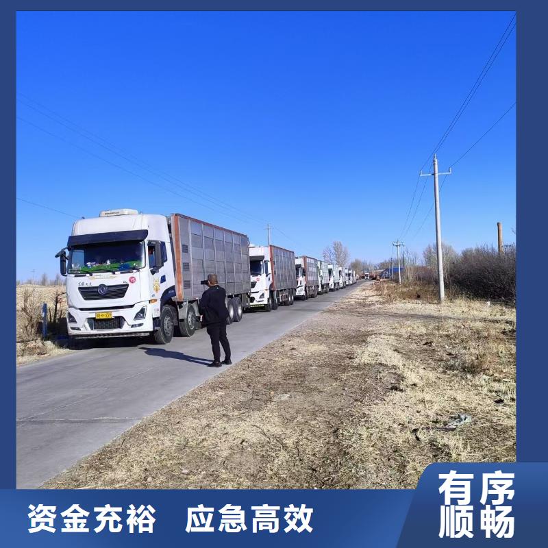 宿迁市到黄山仔猪空调车运输快速