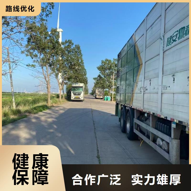 驻马店到果洛活禽物流管理规范