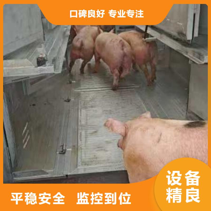 宿迁市到青岛生猪恒温车运输网络广泛