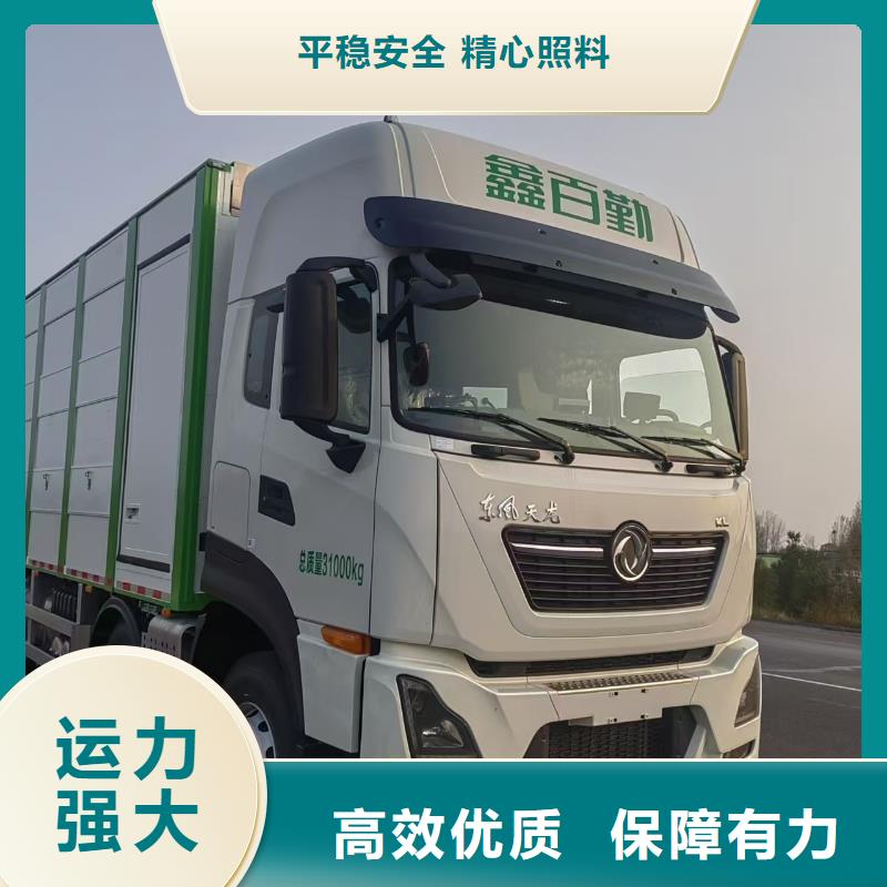 漯河到阜阳羊运输专用车全程呵护