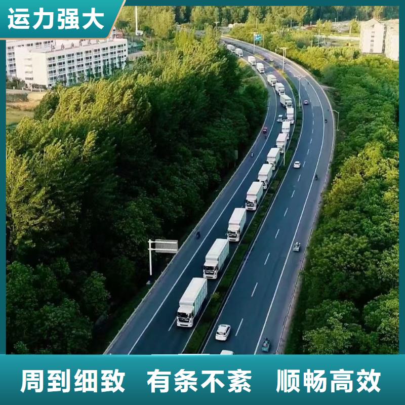 宿迁市泗洪到洛阳种猪空调车运输耐心细致