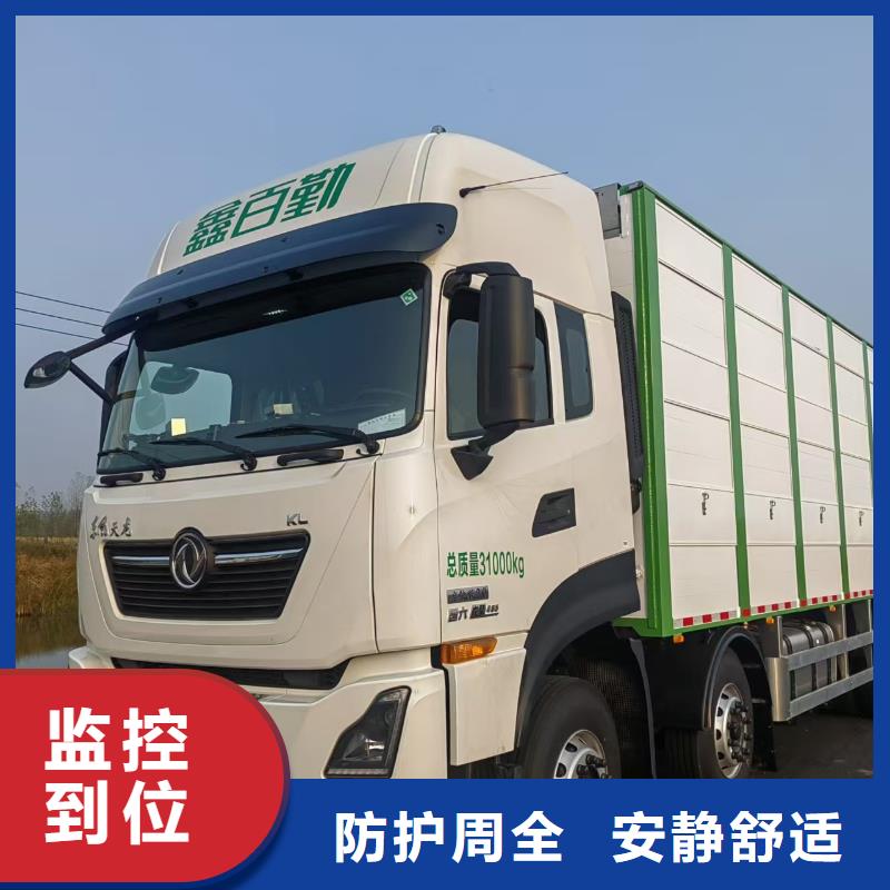 安庆到岳阳活禽运输耐心细致