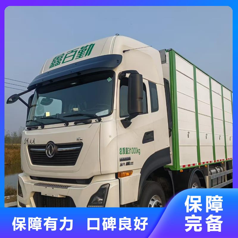 宿迁市到阜阳牛运输专用车体系完善