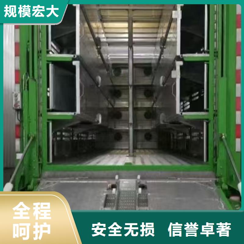 宿迁市到青岛仔猪空调车运输周到细致
