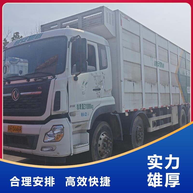 宣城到大庆畜禽物流有序顺畅