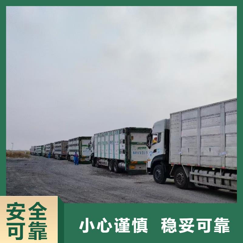 宿迁到济南种猪恒温车运输信誉良好