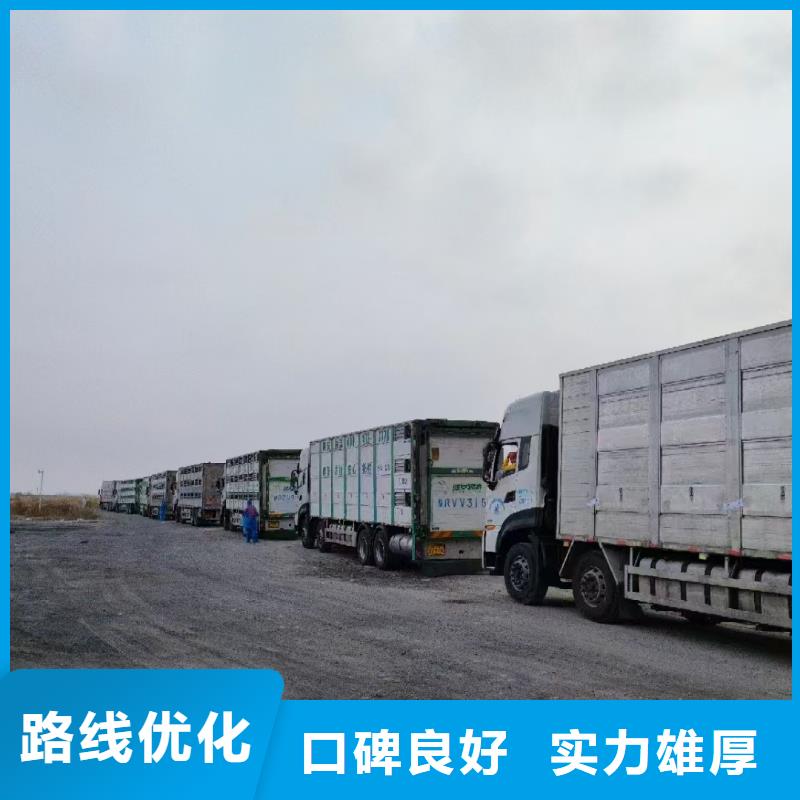 宿迁市泗阳到蚌埠畜禽运输准时准点