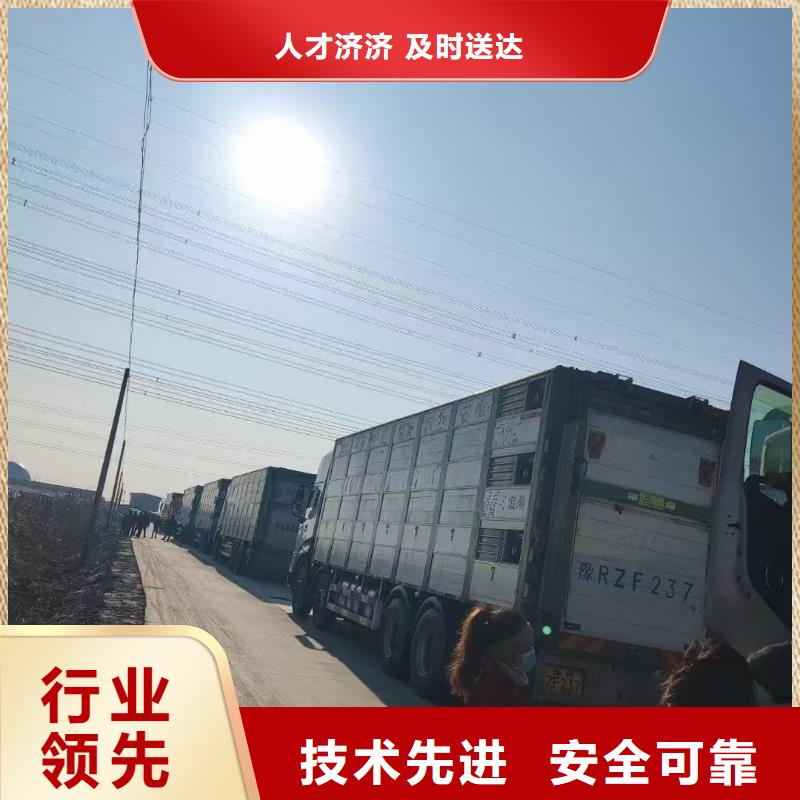 宿迁到盐城猪只运输专用车信誉卓著