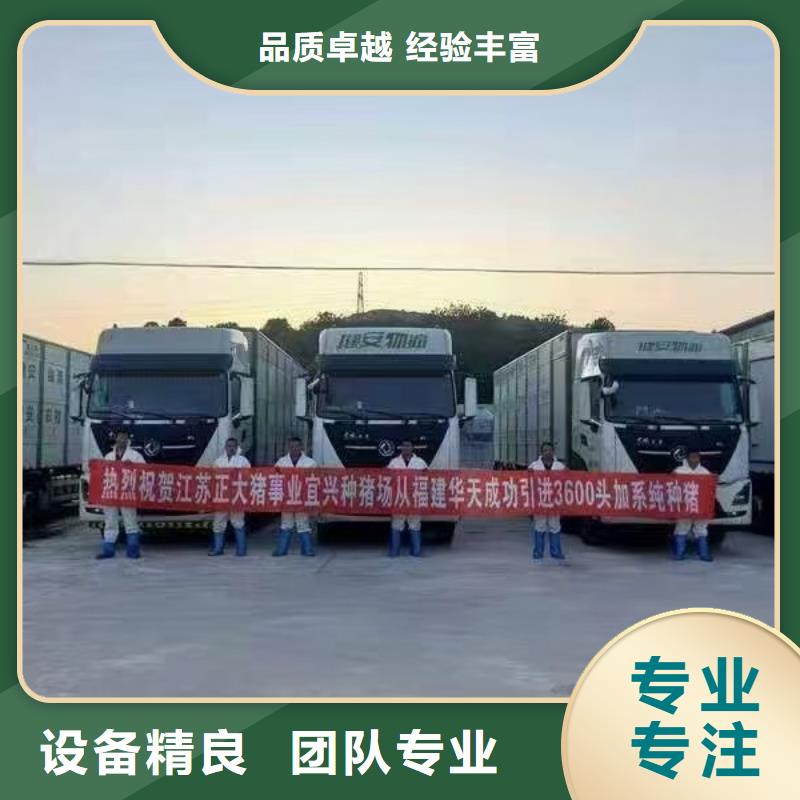 宿迁市泗阳到郑州原料运输行业领先
