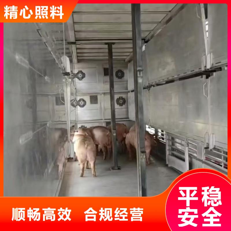 宿迁市泗阳到黄山生猪物流整车运输