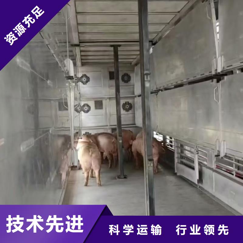 淄博到德宏原料运输精心照料