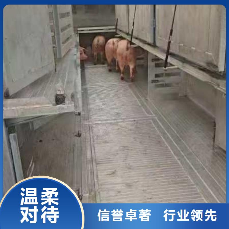 宿迁市沭阳到洛阳猪牛羊运输资质齐全