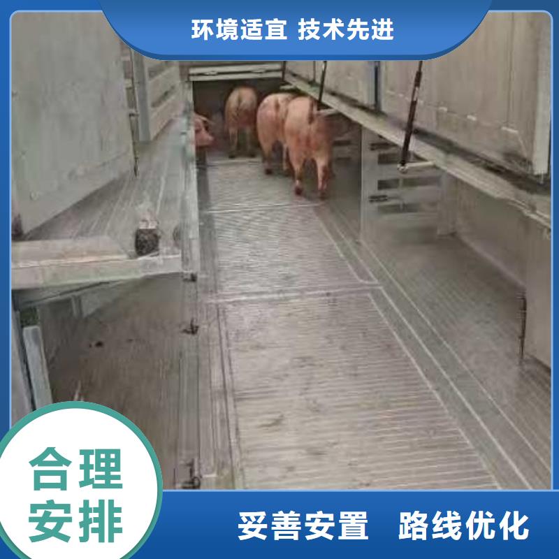 宣城到阜阳生猪物流创新进取
